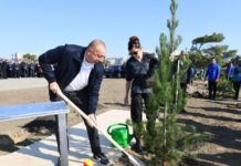 Prezident İlham Əliyev və birinci xanım Mehriban Əliyeva Bakının Xətai rayonunda ağacəkmə aksiyasında iştirak ediblər ağacəkmə aksiyası