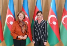 Birinci vitse-prezident Mehriban Əliyeva Böyük Britaniya Baş Nazirinin Azərbaycan üzrə ticarət elçisi ilə görüşüb Azərbaycan Respublikasının Birinci vitse-prezidenti Mehriban Əliyeva oktyabrın 31-də Böyük Britaniya Baş Nazirinin Azərbaycan üzrə ticarət elçisi Baronessa Emma Nikolson ilə görüşüb