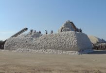 Biləsuvarda pambıq yığımında ötənilkinə nisbətən yüksək məhsuldarlıq qeydə alınıb pambıq