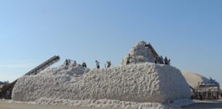 Pambıq sahələrindən 345 min 101 ton məhsul yığılıb, orta məhsuldarlıq 34,35 sentnerə çatıb pambıq