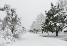 Yel çərşənbəsi qar gətirdi – Şamaxıda qarın hündürlüyü 30 santimetrə çatır qar