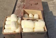 Saxta kərə yağı istehsal edən daha bir müəssisə bağlandı