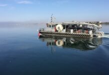 “Dayazsulu Abşeron”da ilin sonunda ilk quyunun qazılmasına başlanılacaq