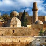 7b10177f-14f3-408f-8c64-2a9a6a0ae57a