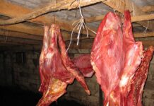 Bakı polisi mənşəyi məlum olmayan 426 kq ət aşkarladı