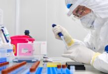 TƏBİB koronavirusun qanla yoluxması məsələsinə aydınlıq gətirdi koronavirus