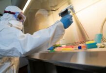 PZR testinin nəticəsi ilə bağlı SMS daxil olmayıbsa, “e-Təbib” mobil tətbiqi vasitəsilə nəticəni öyrənmək olar COVID-19