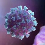 koronavirus