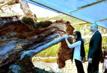 Şamaxıda Pir Ömər Sultan ziyarətgahında bərpa-konservasiya işləri ilə tanışlıq Azərbaycan Respublikasının Prezidenti İlham Əliyev və birinci xanım Mehriban Əliyeva