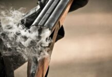 Şəmkirdə həmkəndlisini güllələyən şəxsə ağır ittiham irəli sürüldü