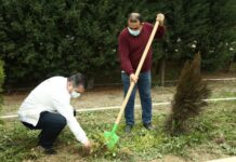Karantin günlərində Gəncənin YAP fəallarından yaşıllıqların artırılmasına daha bir töhfə yaşıllıqların artırılması
