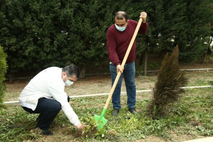 yaşıllıqların artırılması