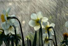 Bəzi yerlərdə leysan yağacaq, dolu düşəcək yağış