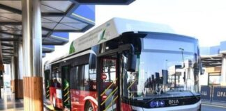 Avtobus