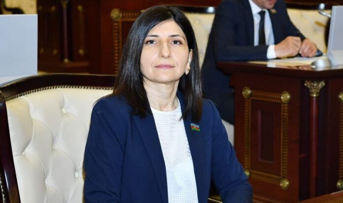 Milli Məclisin deputatı Sevil Mikayılova