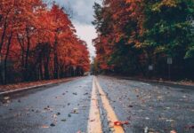 Azərbaycana payız gəlib payız fəsli