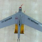 “İti qovan” PUA