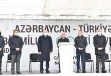 Baş nazir Əli Əsədov beynəlxalq ağacəkmə aksiyasında iştirak edib ağacəkmə aksiyası