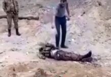 Ermənilər hərbçimizin nəşini yandırmaqla humanitar hüququ kobud şəkildə pozub – Ombudsman Aparatı erməni terroru