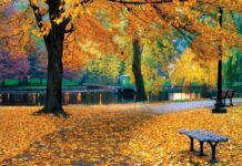 Dekabrın 7-nə gözlənilən hava proqnozu açıqlanıb hava proqnozu