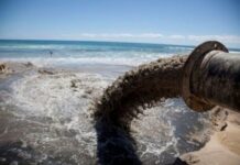 Sahil zolağını çirkləndirən şəxs cəzalandırılıb tullantı