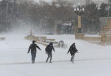 Qarda yıxılaraq xəsarət alanların sayı 64-ə çatıb qar