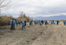 “Yaşıl Marafon” layihəsi üzrə ağacəkmə aksiyaları uğurla davam edir “Yaşıl Marafon” layihəsi üzrə ağacəkmə aksiyaları uğurla davam edir