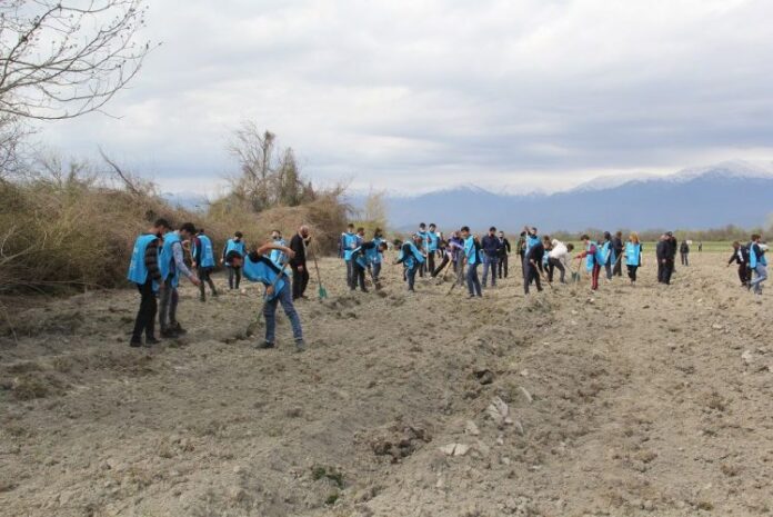 “Yaşıl Marafon” layihəsi üzrə ağacəkmə aksiyaları uğurla davam edir