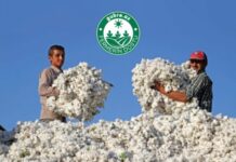 Pambıqçı fermerlər üçün “Toxum dövlətdən, gübrə şirkətdən” kampaniyasına start verildi Pambıqçı fermerlər üçün “Toxum dövlətdən, gübrə şirkətdən” kampaniyasına start verildi