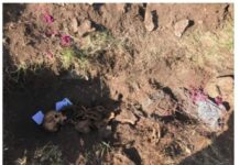 Prokurorluq Başlıbeldə qətlə yetirilən şəxslərin adlarını açıqlayıb Başlıbeldə qətlə yetirilən şəxslər