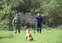 Türkiyə Milli Müdafiə Nazirliyi tərəfindən FHN-ə minaaxtaran itlər hədiyyə edilib Türkiyə Milli Müdafiə Nazirliyi tərəfindən FHN-ə minaaxtaran itlər hədiyyə edilib