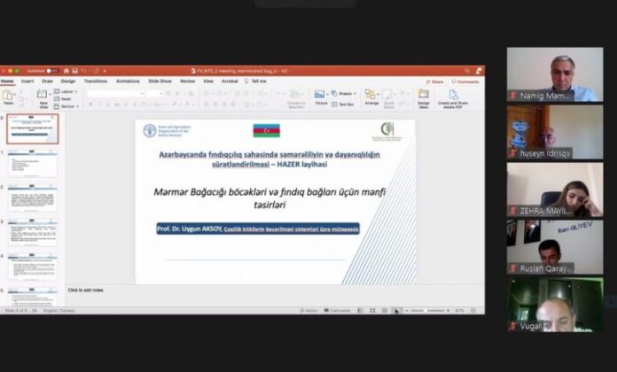 “HAZER” layihəsi çərçivəsində yaradılan Milli Texniki Komitənin ikinci onlayn tədbiri