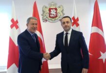Hulusi Akar və İrakli Qaribaşvili