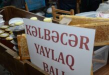 Kəlbəcər və Laçın balı Bakıda yarmarkada Kəlbəcər balı