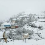 Lerikin Rvarud kəndi