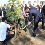 Yevlaxda ağacəkmə aksiyası