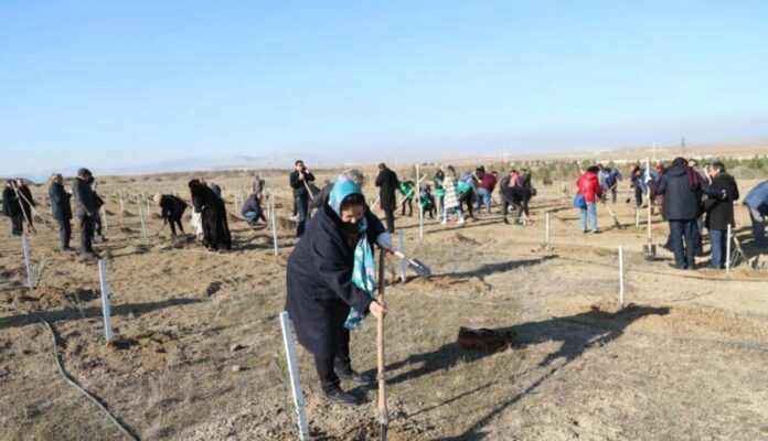 QHT-lər ağacəkmə kampaniyasında iştirak ediblər