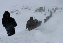 BMT-nin əlaqələndirici üzvünün meyiti Türkiyədə dağ-xizək kurortunda tapılıb dağ-xizək kurortu