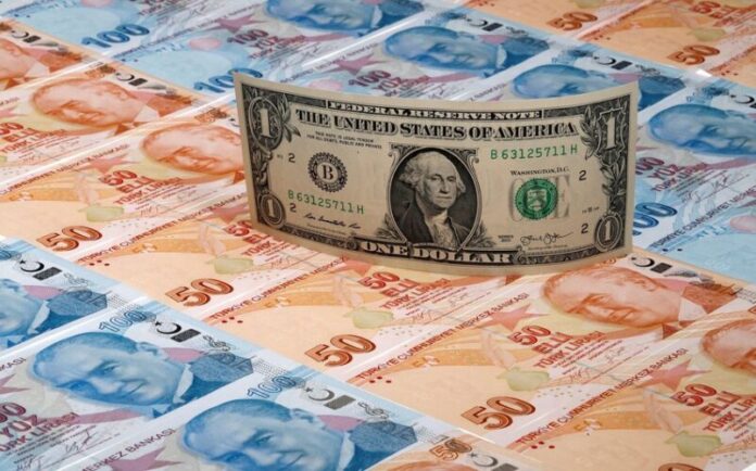 ABŞ dolları və Türkiyə lirəsi