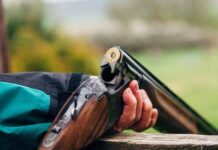 Prokurorluq Bakı sakininin güllələnməsi ilə bağlı məlumat yayıb yivsiz ov silahı