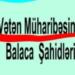 “Vətən Müharibəsinin Balaca Şahidləri” layihəsi