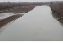 Su hövzələrindən ümumilikdə 310 metr uzunluğunda sintetik tor yığışdırılıb Kür çayı