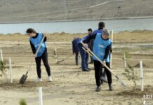 “Yaşıl Marafon 2022” ağacəkmə kampaniyası çərçivəsində növbəti aksiya keçirilib “Yaşıl Marafon 2022” ağacəkmə kampaniyası çərçivəsində növbəti aksiya keçirilib