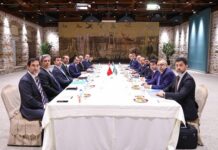 Mikayıl Cabbarov Türkiyənin energetika və təbii sərvətlər naziri ilə görüşüb