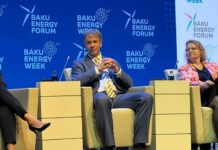 Dünya Bankının (DB) bərpa olunan enerji üzrə baş mütəxəssisi Şon Uittaker