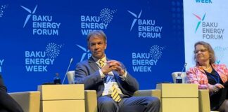 Dünya Bankının (DB) bərpa olunan enerji üzrə baş mütəxəssisi Şon Uittaker