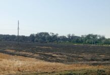 Şabranda baş verən yanğınla əlaqədar 1 nəfər məsuliyyətə cəlb edilib Şabranda yanğın