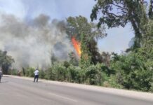 Xaçmazda meşə massivində güclü yanğın başlayıb Xaçmazda meşə massivində güclü yanğın başlayıb