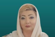 Qürbətdə oxunan həsrət nəğmələri Südabə İrəvanlı