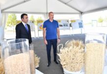 Prezident İlham Əliyev “Ağsu Aqropark”ın fəaliyyəti ilə tanış olub Prezident İlham Əliyev “Ağsu Aqropark”ın fəaliyyəti ilə tanış olub